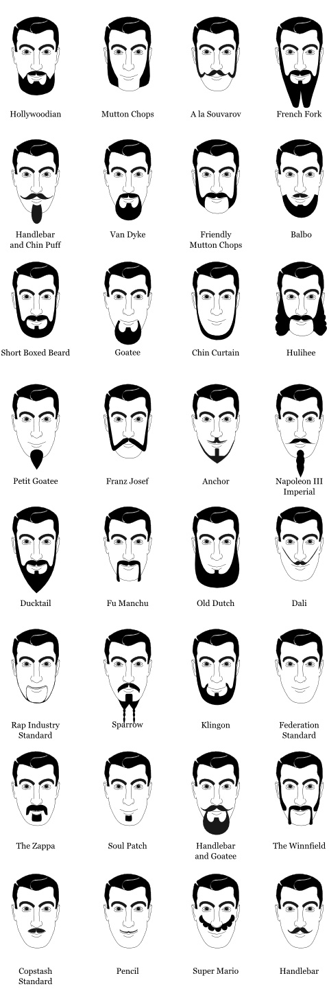 Beard Type Chart