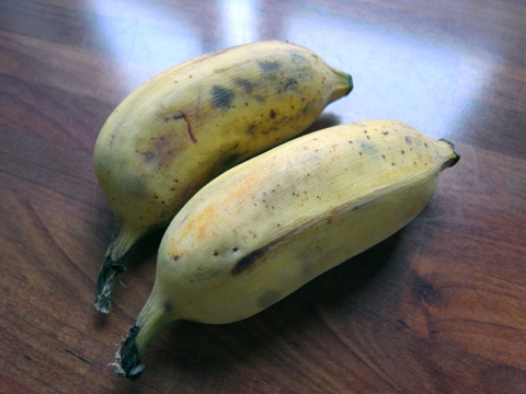 牛奶蕉