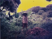 farmer