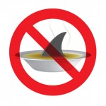 Shark Fin