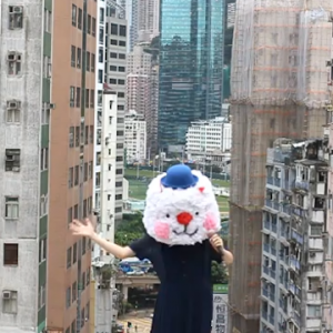 會唱歌的兔子