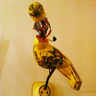 sad-bird