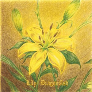 DragonAsh_Lily