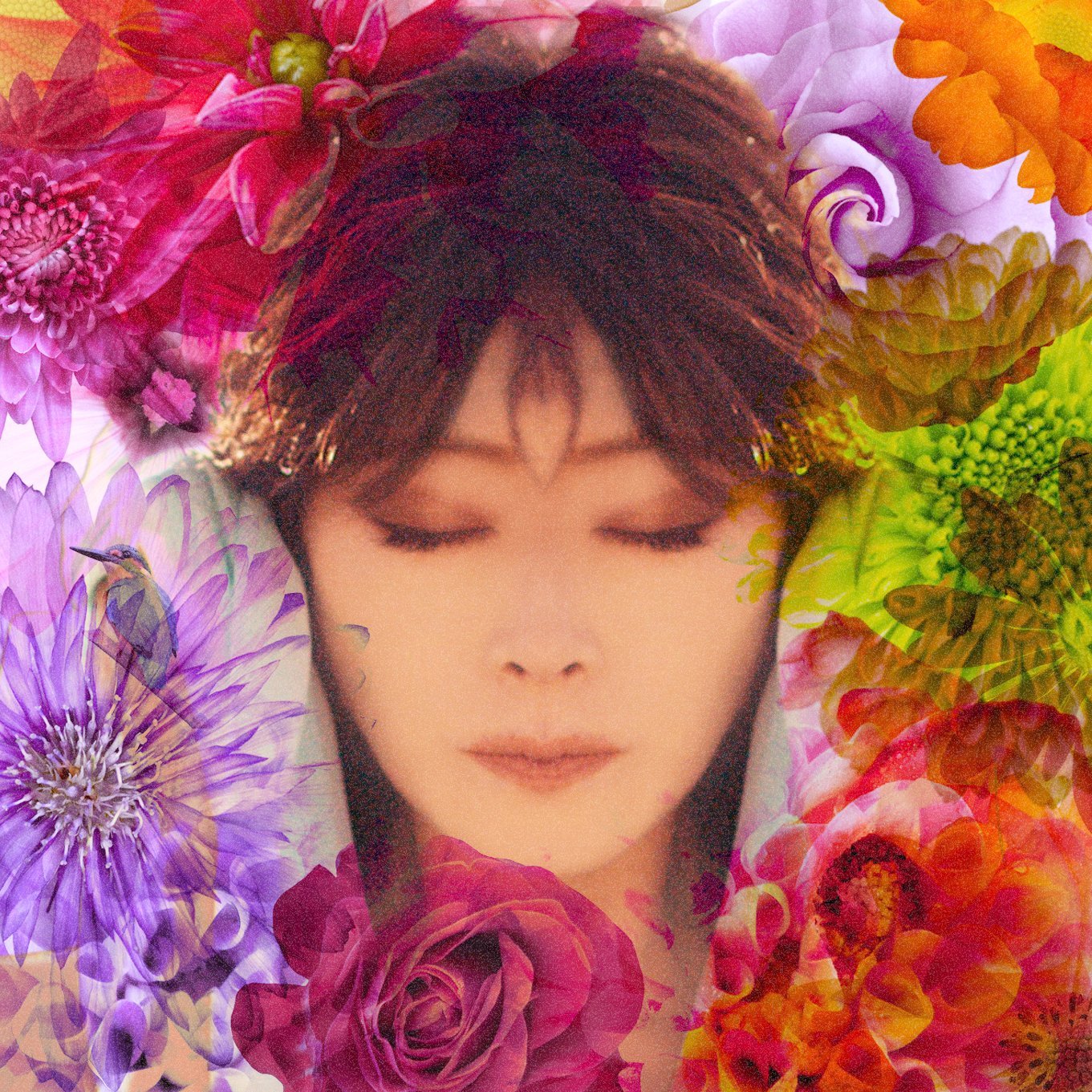 中森明菜 Fixer While The Women Are Sleeping 歌詞 Pv 中森明菜 Fixer While The Women Are Sleeping 歌詞 Pv