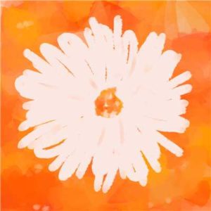 しなまゆ 陽だまりの子 歌詞 Pv