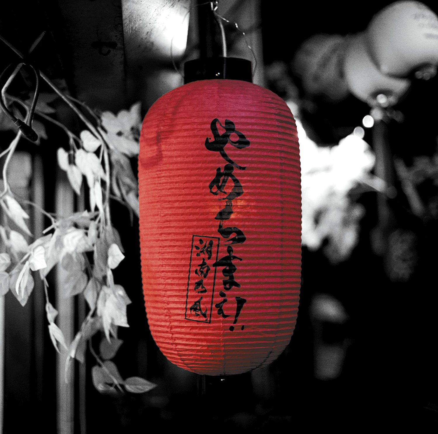 湘南乃風 やめちまぇ 歌詞 Pv