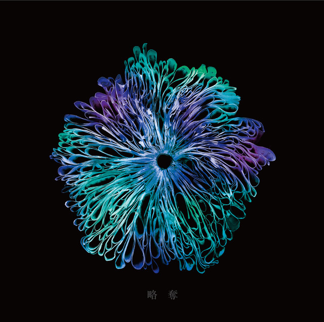 みやかわくん 略奪 歌詞 MV