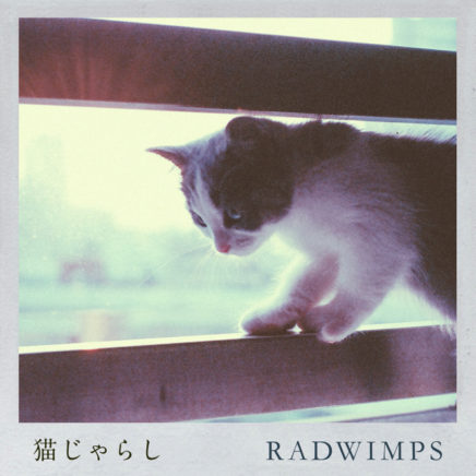 RADWIMPS – 猫じゃらし