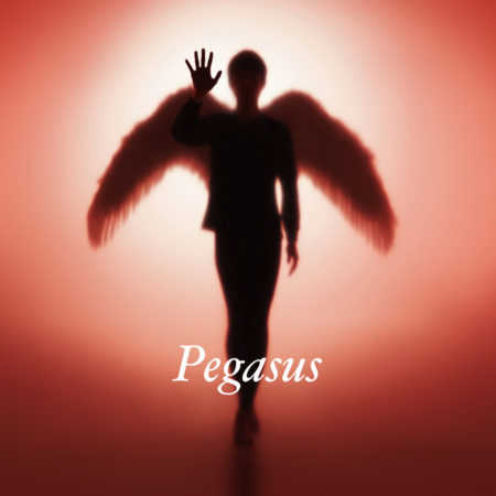 Pegasus