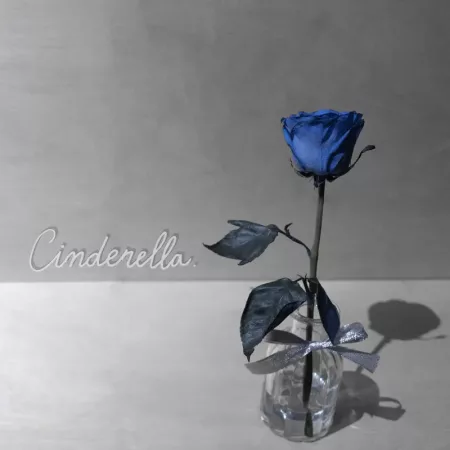 西澤仙之 - Cinderella