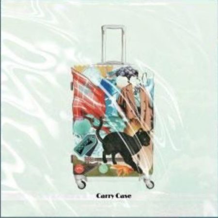 Carry Case