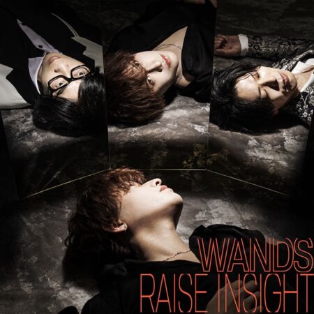 WANDS - RAISE INSIGHT